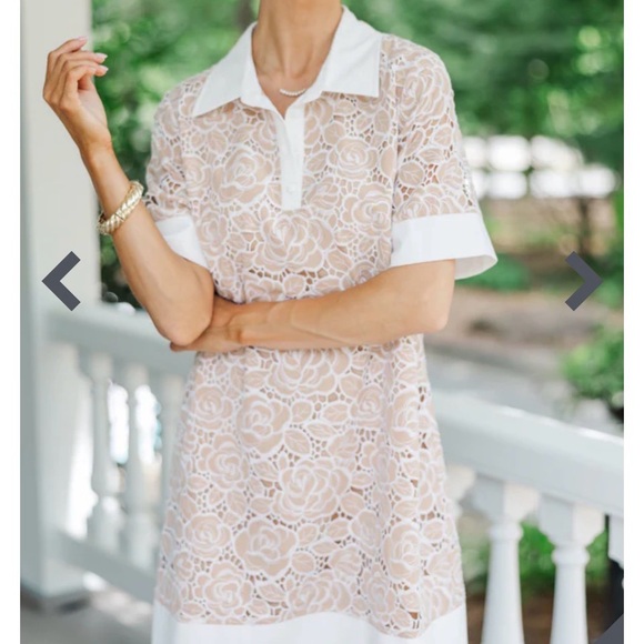 Delicate Days Taupe Crochet Dress by Shop the Mint - Picture 2 of 14